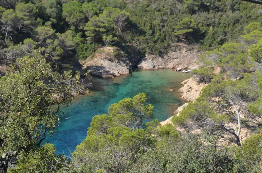 Transfer nach Cala Bona