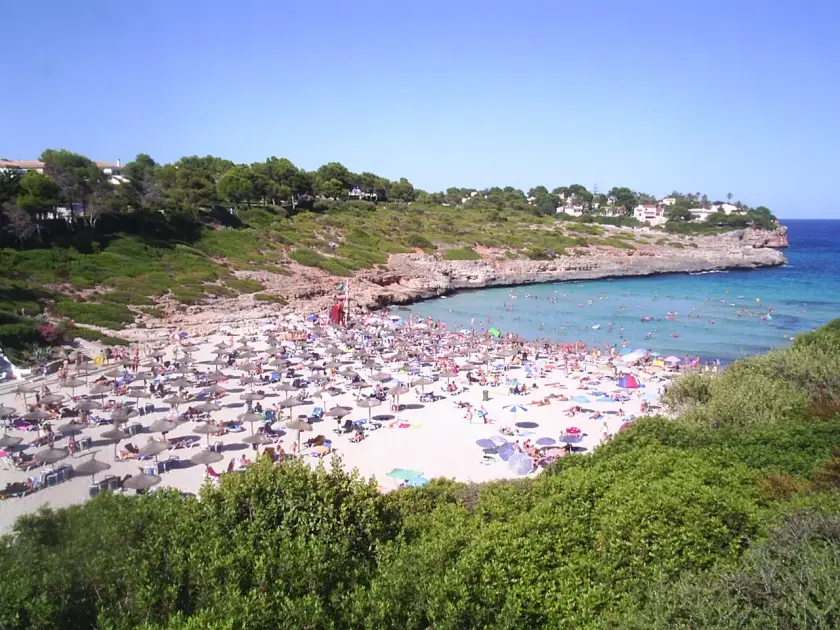 Transfer nach Cala Mandia