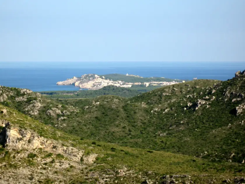 Transfer nach Cala Ratjada