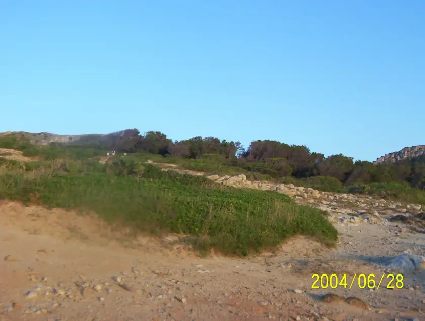 Transfer nach Cales de Mallorca