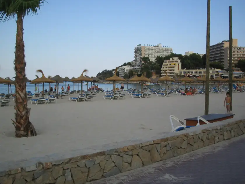 Transfer nach Playa de Palma