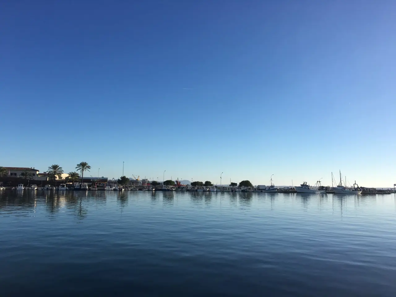 Puerto de Alcudia 2 (Puerto de Alcudia)