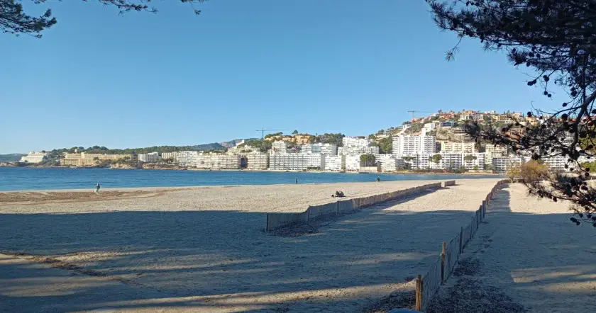 Transfer to Santa Ponsa