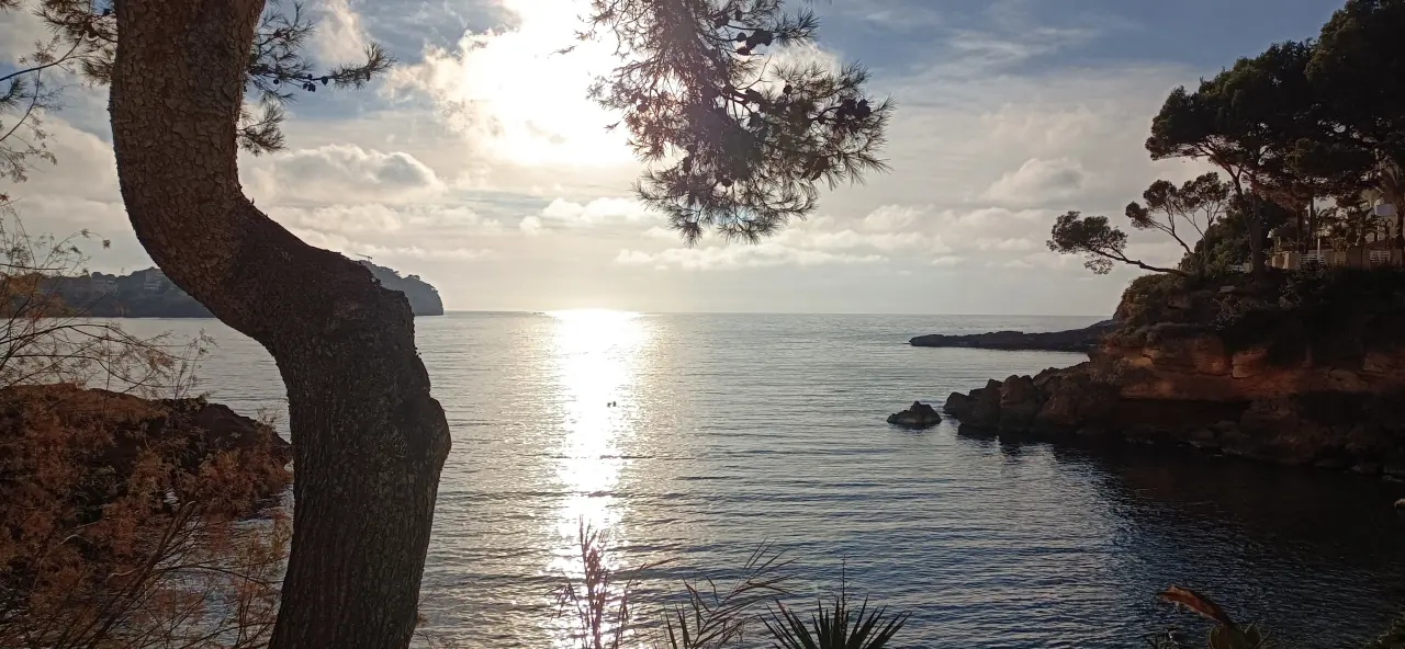 Santa ponsa Calviá mallorca